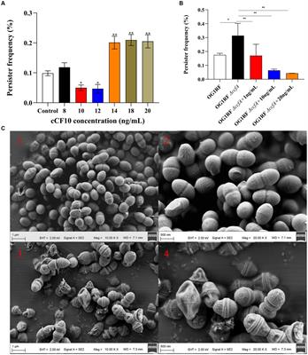 Pheromone cCF10 inhibits the antibiotic persistence of Enterococcus faecalis by modulating energy metabolism